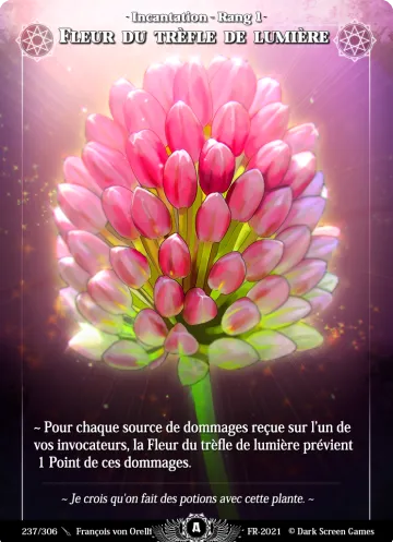 Blüte des Lichtklees