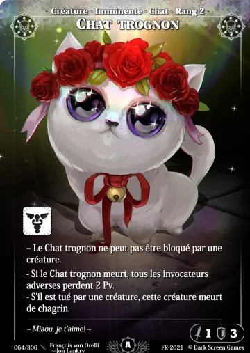 Cutest Kitty