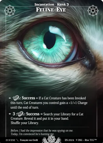 Ojo Felino
