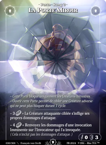 la porte miroir