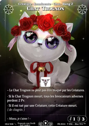 chat trognon