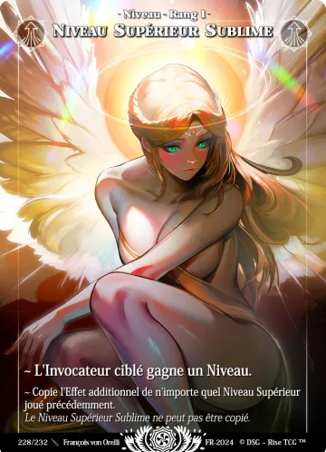 Niveau Supérieur Sublime