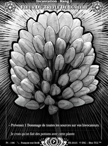 fleur du trèfle de lumière