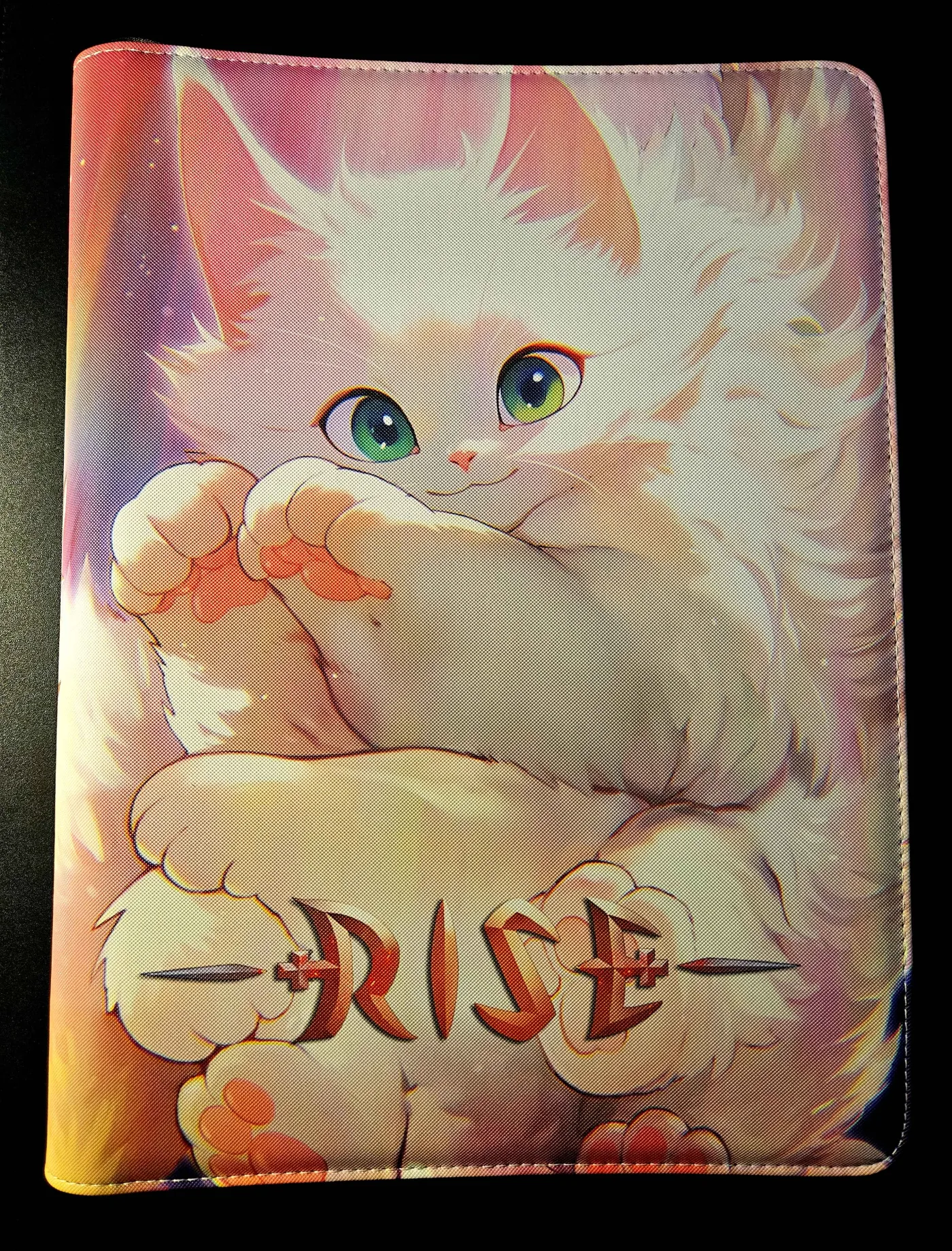 Binder Cat Adorable